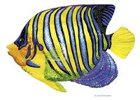 Fish 2 Blue-Yellow Fine Art Print