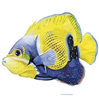 Fish 3 Blue-Yellow Framed Print