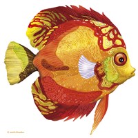 Fish 3 Red-Yellow Fine Art Print