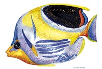 Fish 5 Blue-Yellow Fine Art Print