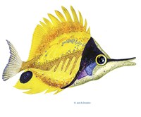 Fish 5 Red-Yellow Fine Art Print