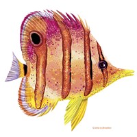 New Fish 4 Fine Art Print