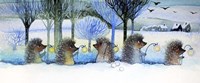 Winter Hedgehogs Fine Art Print
