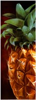 Ananas Fine Art Print