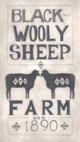 Black Wooly Sheep Fine Art Print