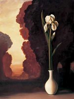 Floral Sunrise II Fine Art Print