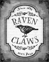 Raven Claws Fine Art Print