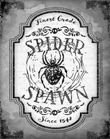 Spider Spawn Fine Art Print