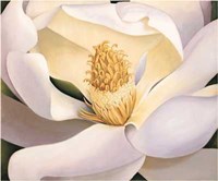 Virginia Huntington - Magnolia Size 23.75x19.75 Fine Art Print