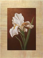 Virginia Huntington - Fleur de Iris Size 23.75x31.5 Fine Art Print