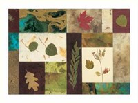 Nature's Memories Fine Art Print