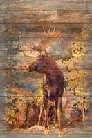 Majestic Moose Fine Art Print