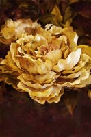 Floral Fine Art Print