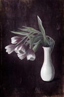 Droopy Tulips Fine Art Print