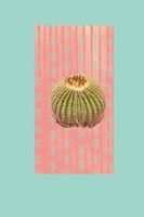 Barrel Cactus Fine Art Print