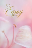 Enjoy Fine Art Print