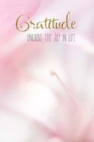 Gratitude Unlocks the Joy Fine Art Print