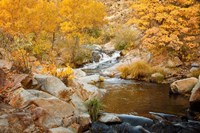 Fall Creek Fine Art Print