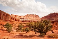 Capital Reef Utah Fine Art Print