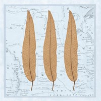 Nature's Profile B Fine Art Print