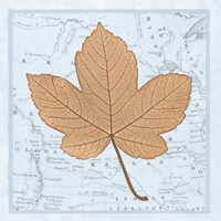 Nature's Profile C Fine Art Print