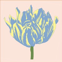 Soho Tulip I Fine Art Print