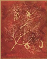 Golden Oak II Fine Art Print