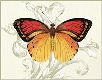 Butterfly Theme III Fine Art Print