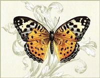 Butterfly Theme IV Fine Art Print