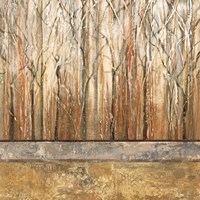 Telluride I Fine Art Print