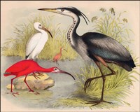 Divisions Fine Art Print