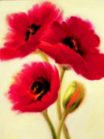 Red Poppies Fine Art Print