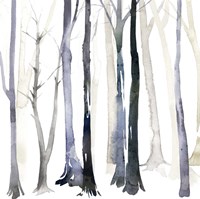 In the Forest II Fine Art Print