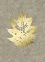 Gold Foil Leaf I on Lichen Wash Framed Print