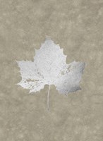 Silver Foil Leaf II on Lichen Wash Framed Print