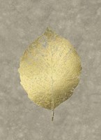 Gold Foil Leaf III on Lichen Wash Framed Print