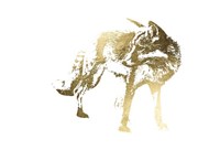 Gold Foil Fox Fine Art Print