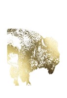 Gold Foil Buffalo Fine Art Print
