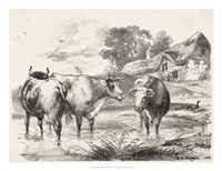 Rural Charms I Fine Art Print