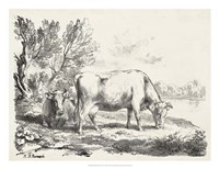 Rural Charms III Fine Art Print