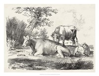 Rural Charms IV Fine Art Print