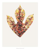 Fall Mosaic Leaf II Fine Art Print