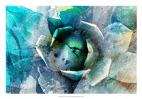 Agave Abstract I Fine Art Print
