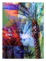 Desert Palm Abstract Fine Art Print