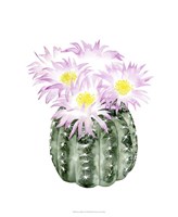 Cactus Bloom I Framed Print