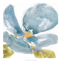 Flower Splash II Framed Print