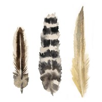 Watercolor Plumes II Fine Art Print