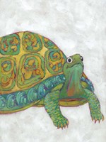 Turtle Friends I Fine Art Print