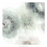 Lily Pad Watercolor II Fine Art Print