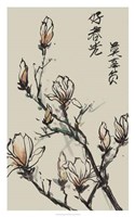 Mandarin Magnolia I Framed Print